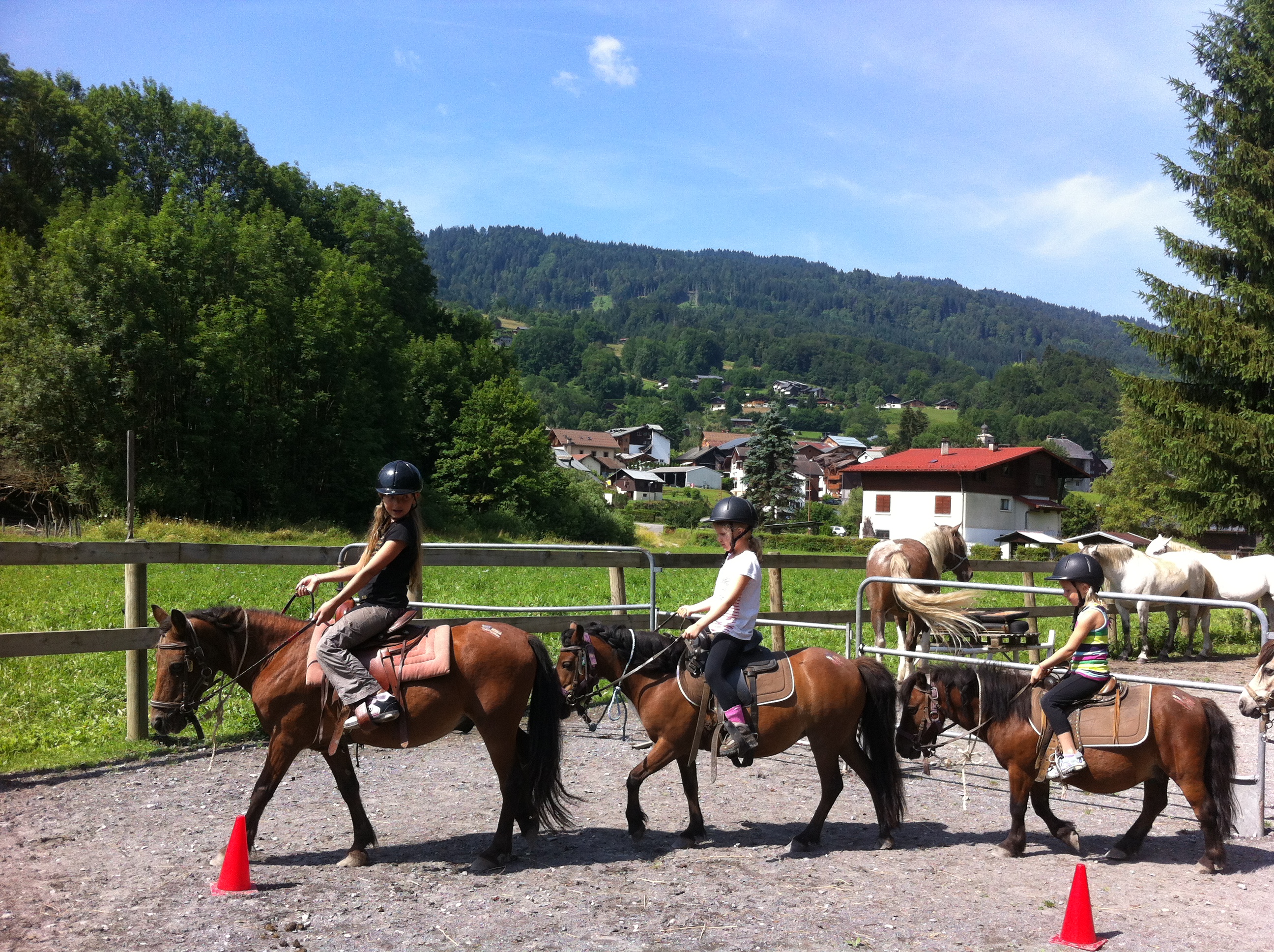 Stage de poney