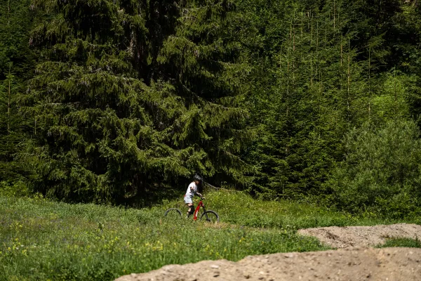 Trottinette tout-terrain