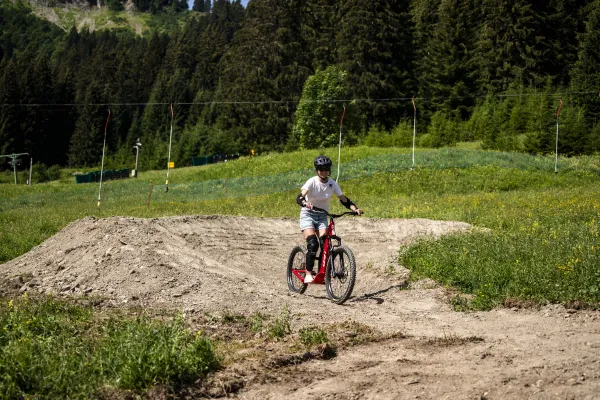 Trottinette tout-terrain