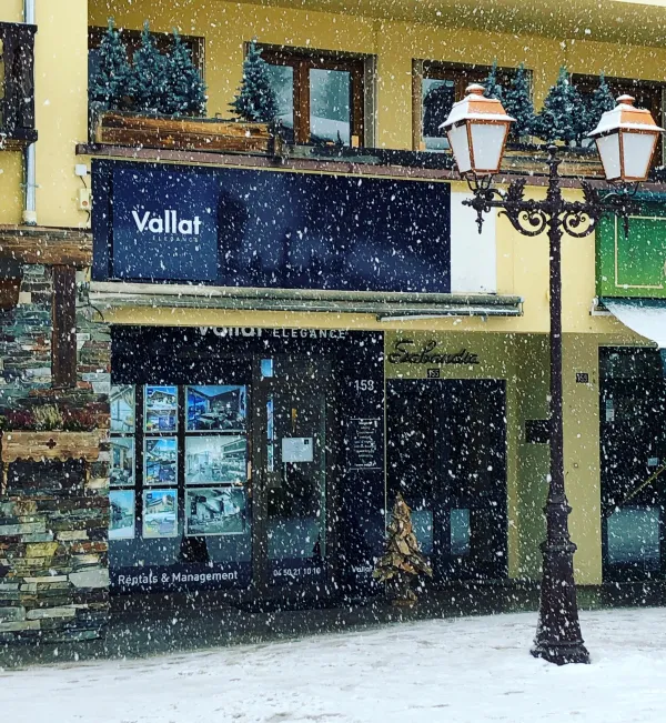 Vitrine_Vallat Immobilier