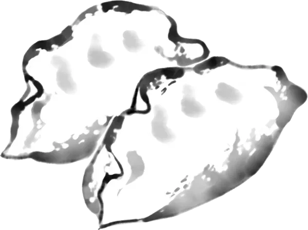 Gyoza
