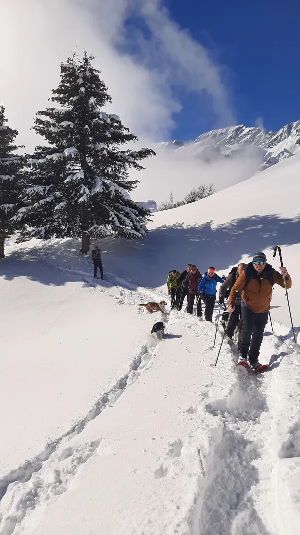 Sentier raquettes : la boucle des Combes