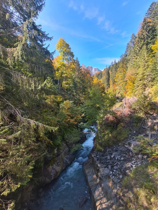 sentier VTT : boucle du Pont de la Flée_Sallanches