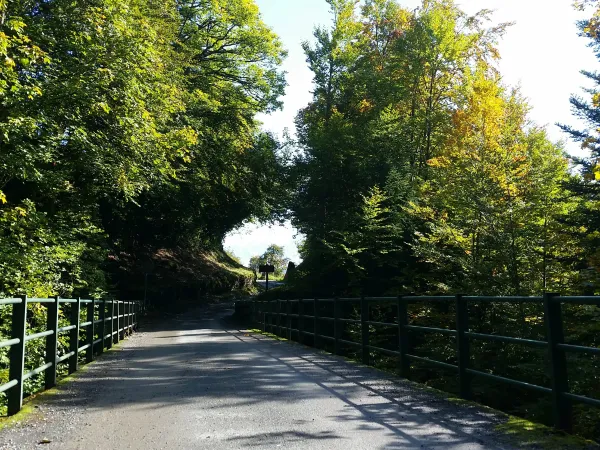 sentier VTT : boucle du Pont de la Flée_Sallanches