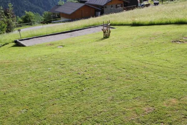 3 pièces - Petit Chez Soi