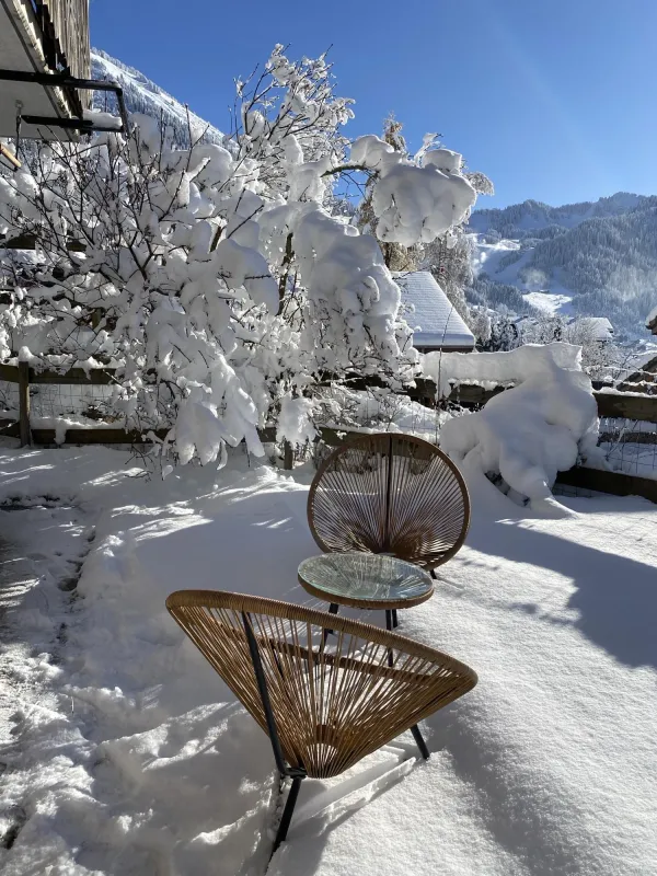 Terrasse sous la neige