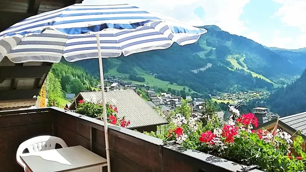 Vue du balcon en été