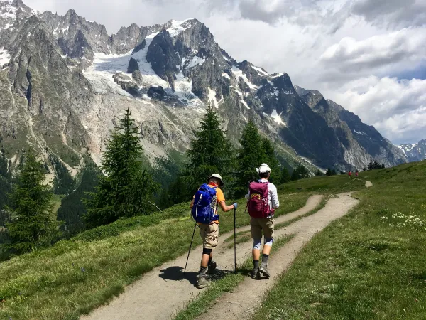Alp Trails