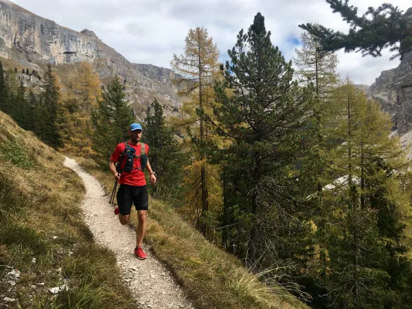Alp Trails