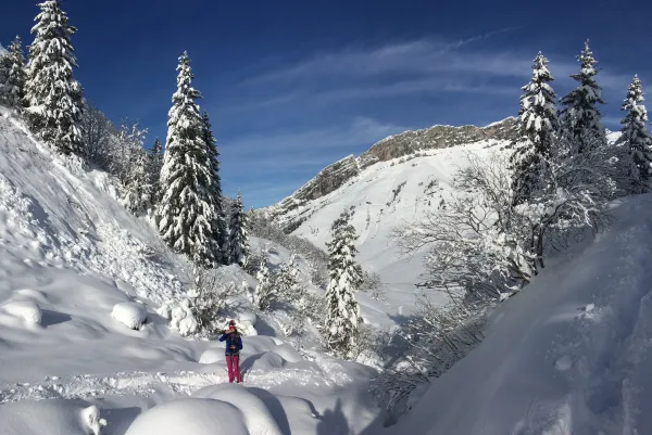 Alp Trails
