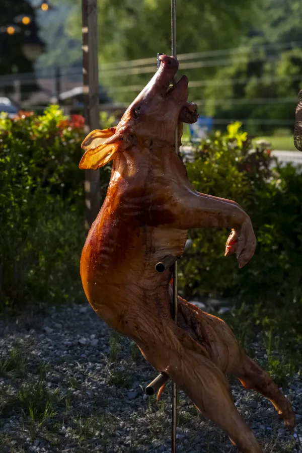 cochon à la broche