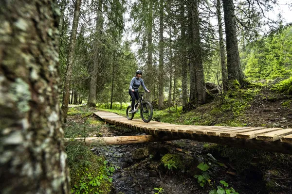 Bike Park First Wheel