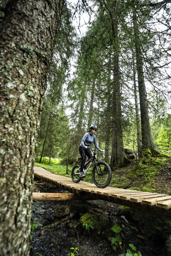 Bike Park First Wheel