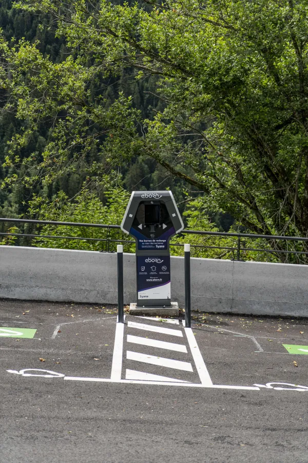 Borne de rechargement pour véhicules électriques