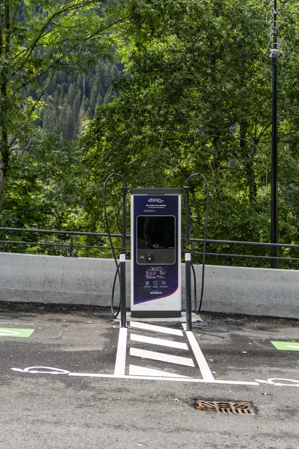 Borne de rechargement pour véhicules électriques