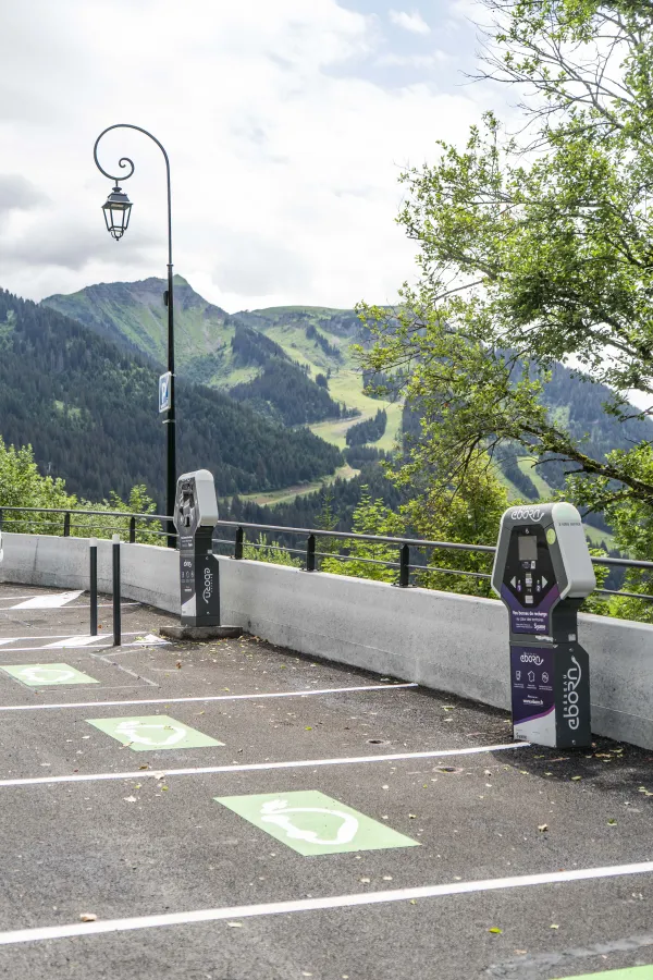 Borne de rechargement pour véhicules électriques