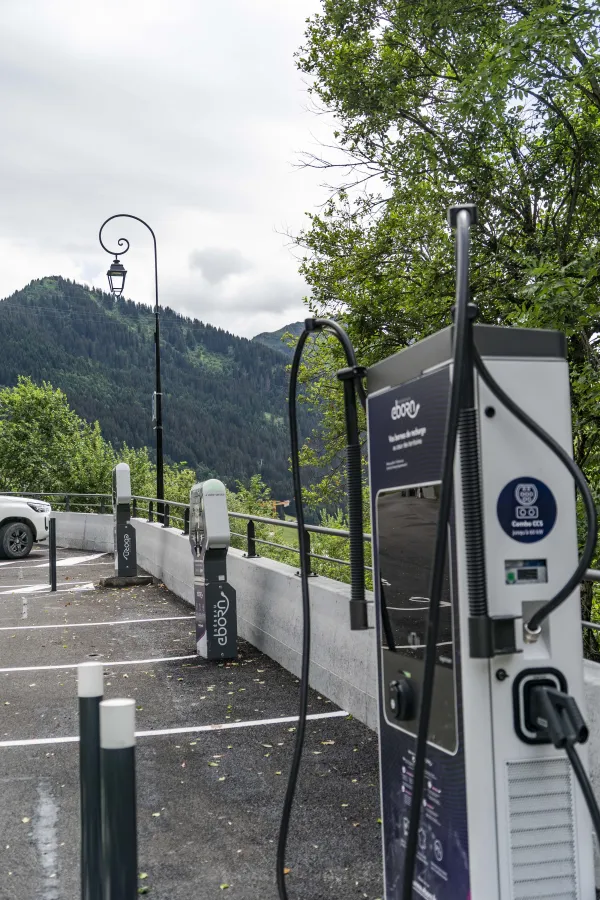 Borne de rechargement pour véhicules électriques