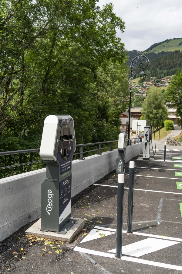 Borne de rechargement pour véhicules électriques