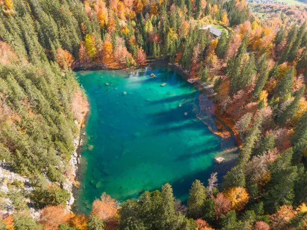 Lac Vert en automne