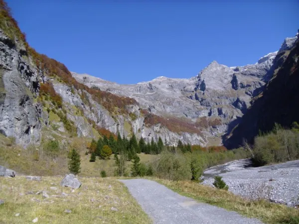 Fer à Cheval