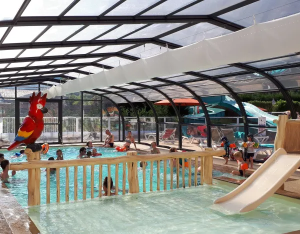 piscine couverte avec perroquet