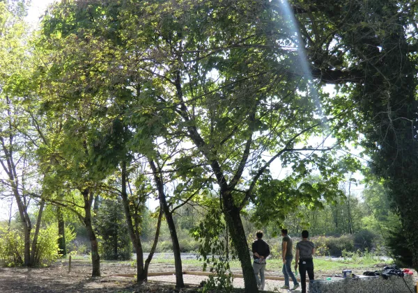 Parc