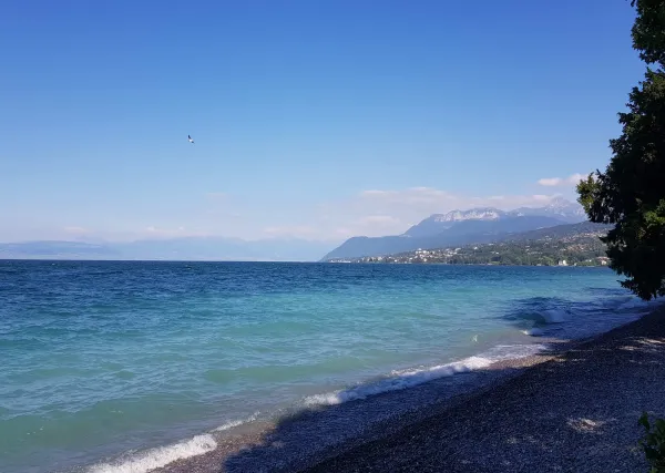 Lac Léman