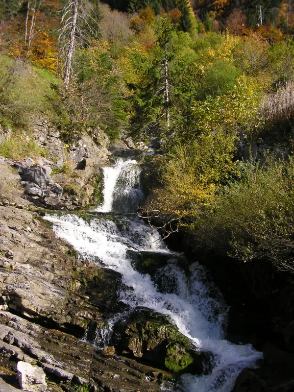 Cascade du Pas du Roc