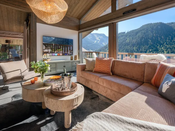 Salon ensoleillé