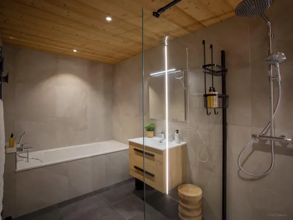 Salle de bains avec baigneoire et douche