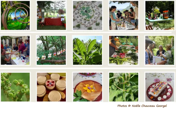 Animations plantes sauvages
