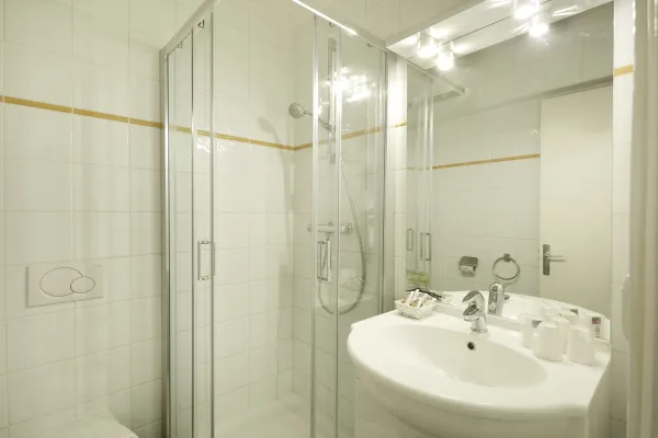 Salle de bains avec douche et lavabo, grand miroir