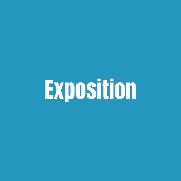 Exposition : Emotions