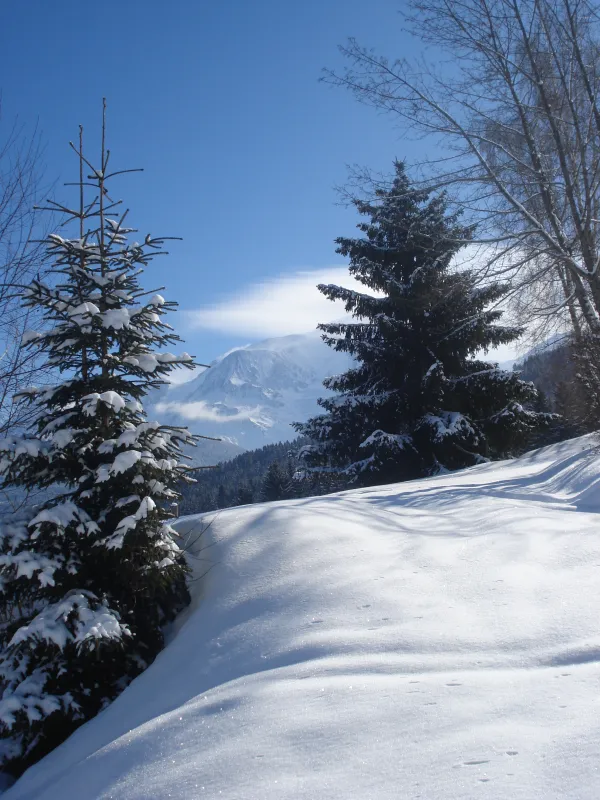 Paysage Hiver