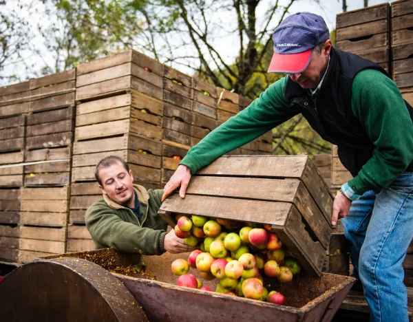 Fête du Cidre