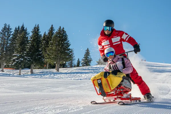 Tandem Ski