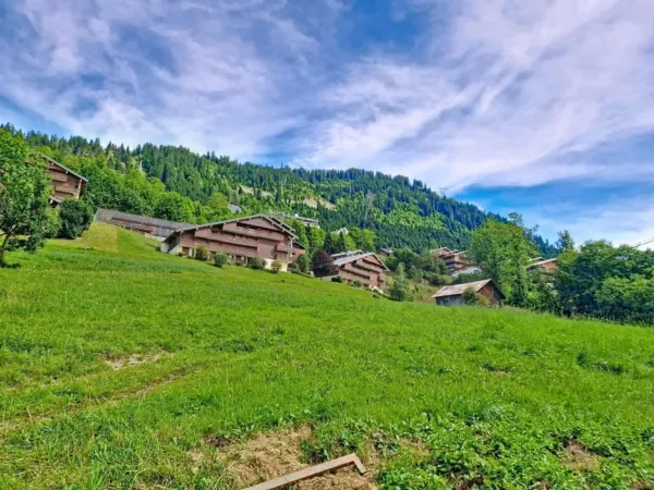 2 pièces - Les Gentianes_Châtel