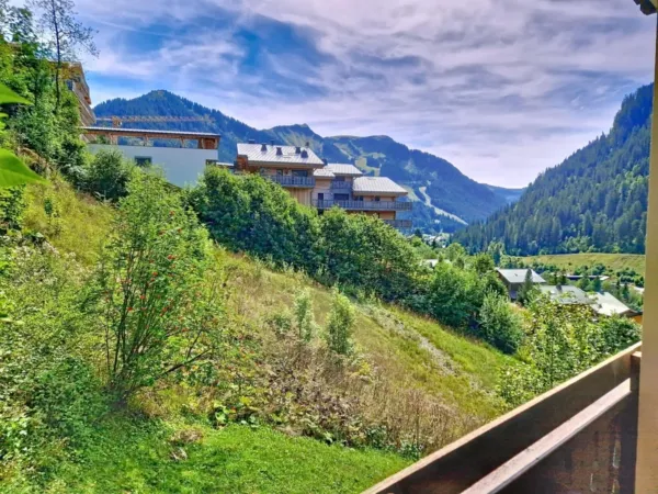 2 pièces - Les Gentianes_Châtel