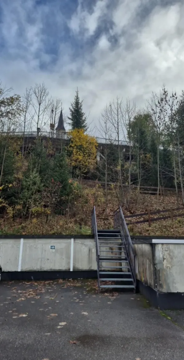 2 pièces - Les Gentianes_Châtel