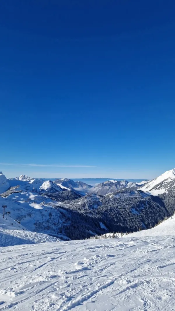 2 pièces - Les Gentianes_Châtel