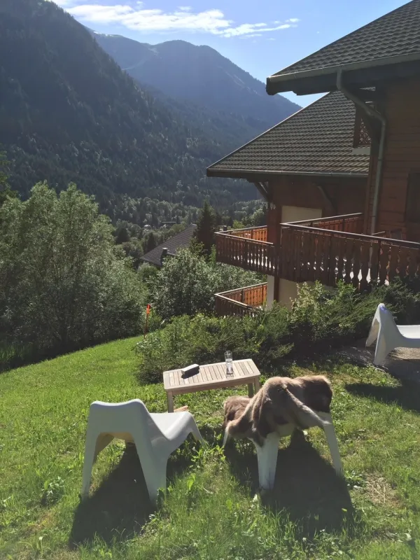 Vue été