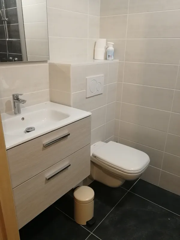 Salle de bains avec vasque et son meuble et toillettes