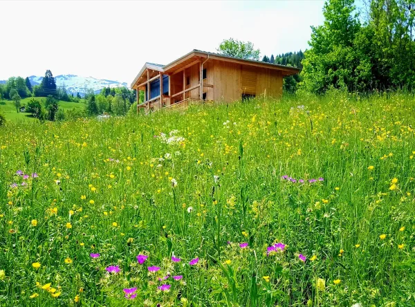 Chalet L'Isérable - Didelle Pascale