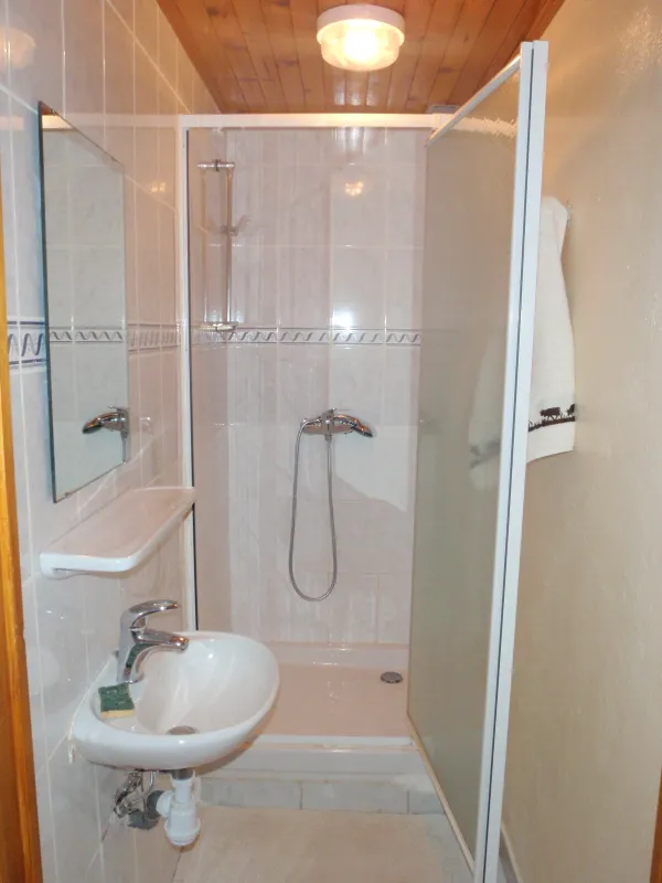 Salle de bain avec douche, lavabo et miroir