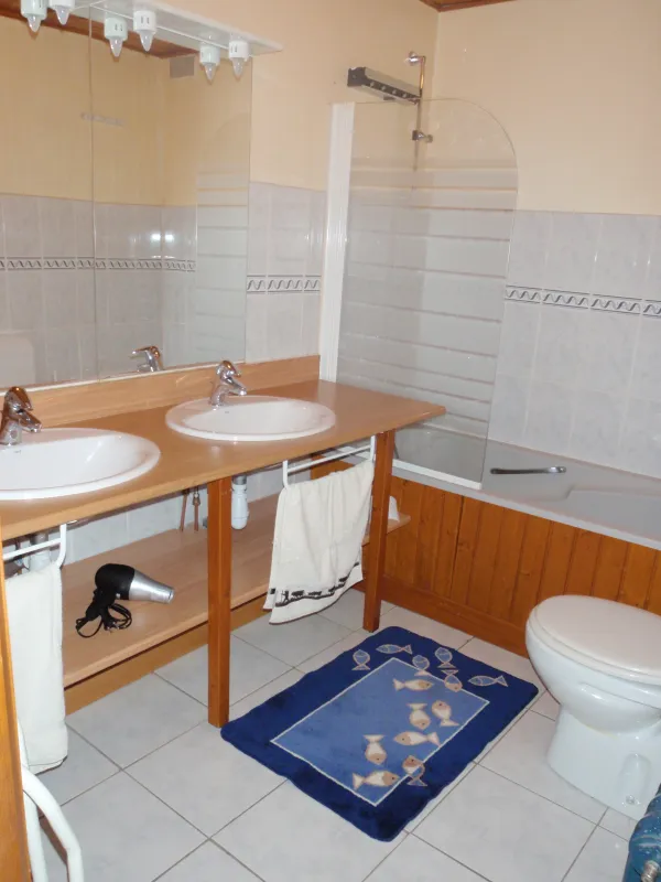 Salle de bains, double vasque avec son meuble, grand miroir, baignoire, wc