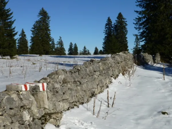Murs du Jura