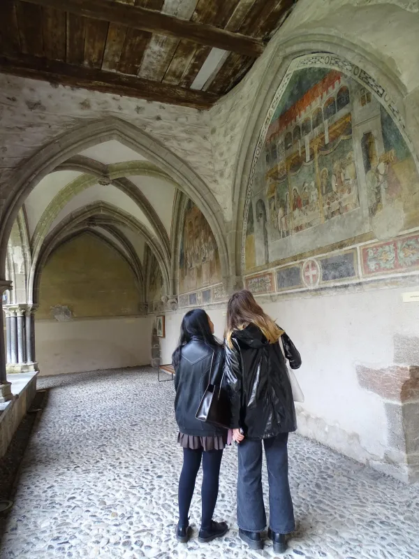 Visite