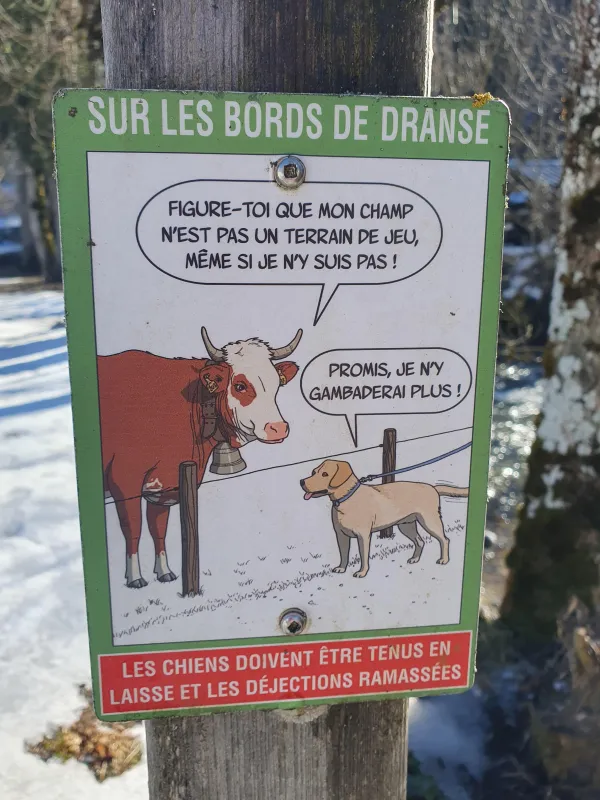 Panneau BDD