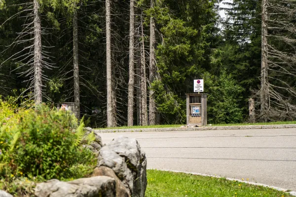 Aire de service pour les camping-cars