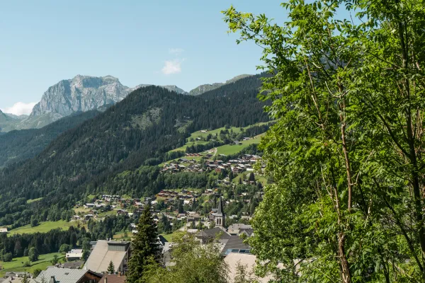 Vue du village en été avec montagne en arrière plan et arbre au premier